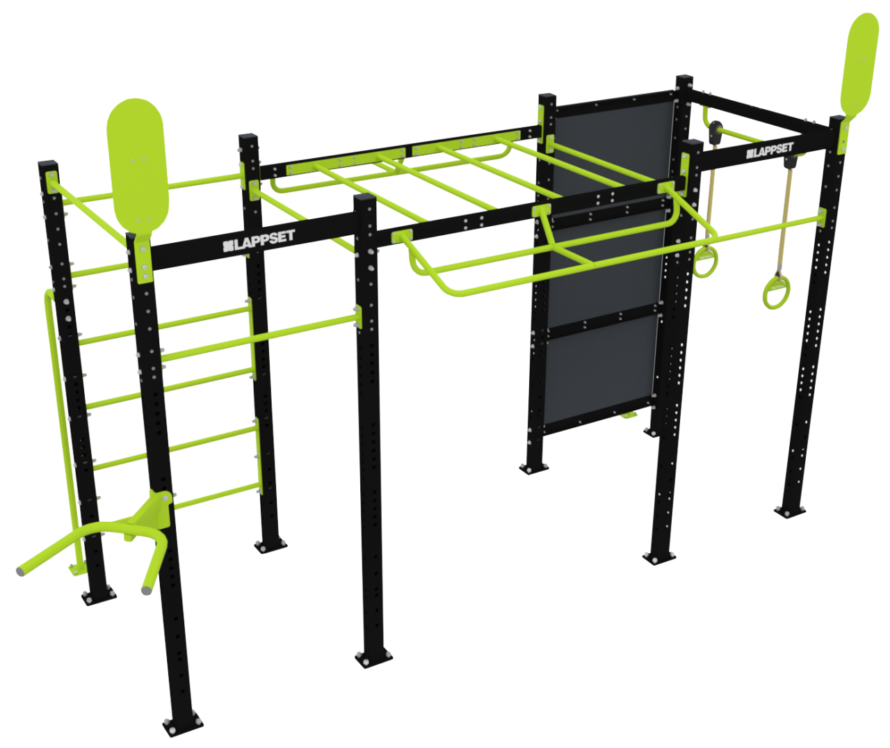 Functional Fitness Rig M